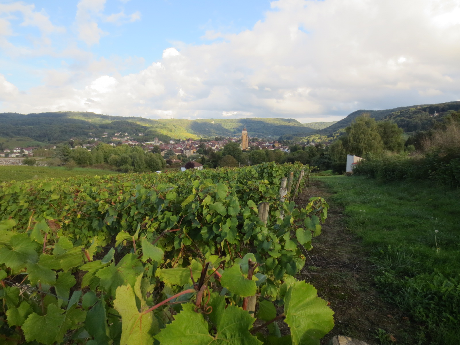 Arbois et son vignoble dans le Jura