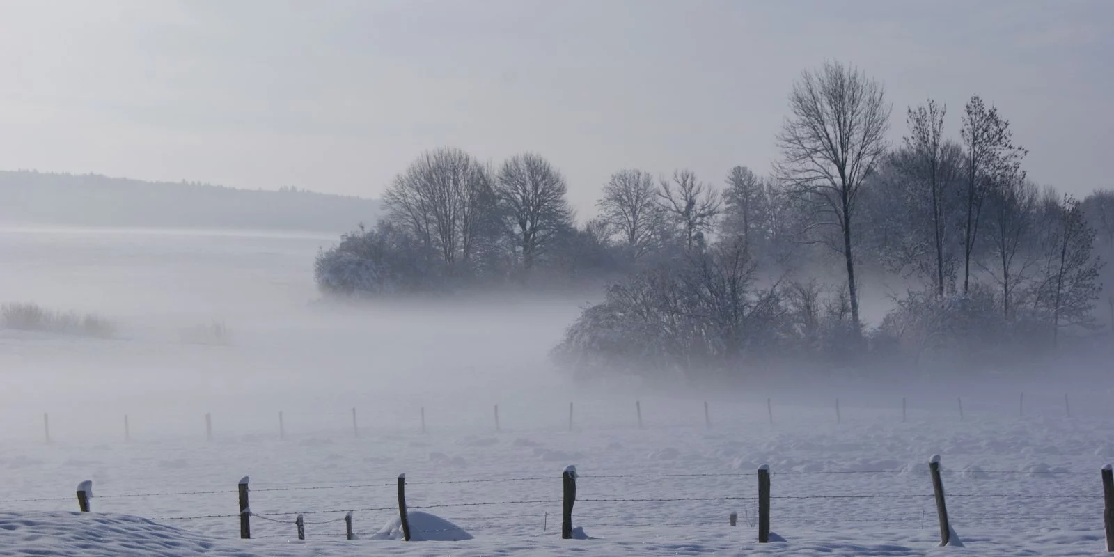 Prairie enneigée dans la brume avec des arbres dénudés, vue depuis le gîte