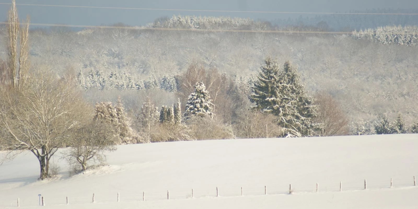 Große Terrasse de la Ferme du Bois Joli face aux prairies
