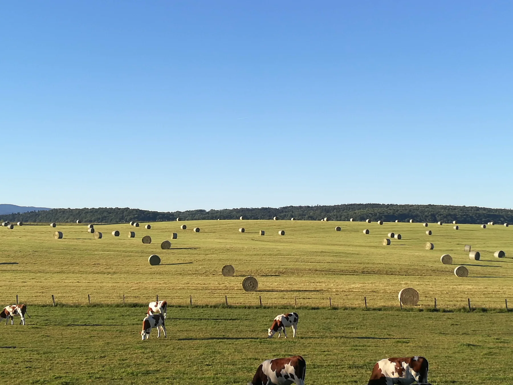 Paysage du Jura autour du grand gîte Ferme du Bois Joli