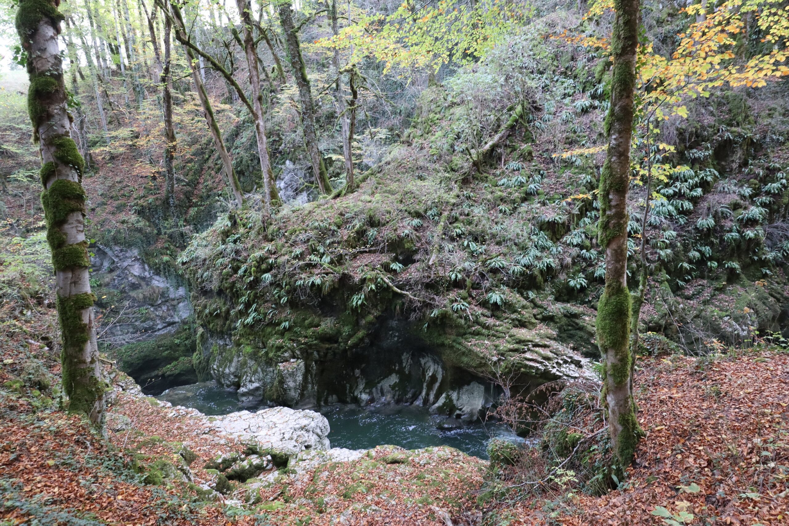 Gorges de la Langouette aux Planches-en-Montagne dans le Jura